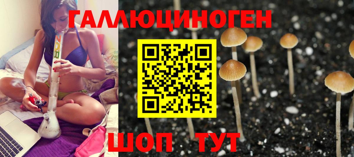 Галлюциногенные грибы MAGIC MUSHROOMS Якутск